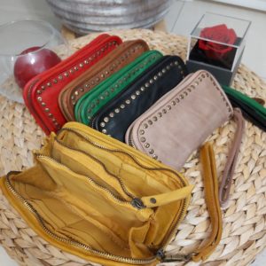 compagnon cuir couleur